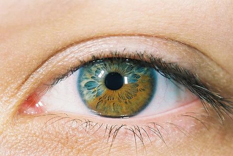 Eye | Iris | Pupil | 目 | œil | глаз | Occhio | Ojo | Color | Texture | Pattern | Macro | Green and Brown by lindes, via Flickr Heterochromia Eyes, Eyes Health, Eyes Quotes, Multi Colored Eyes, Iris Eye, Eye Drawings, Rare Eyes, Realistic Eye Drawing, Beautiful Eyes Color