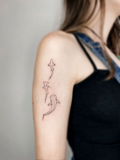 Three Shark Tattoo, Animal Sibling Tattoos, Ocean Tattoos Ankle, Stingray And Shark Tattoo, Small Whale Shark Tattoo, Three People Tattoos, Tattoo Ideas Shark, Ocean Lover Tattoo, Shark Tattoo Meaning