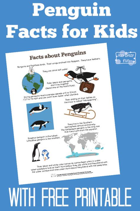 Fun Penguin Facts for Kids With Free Printables Penguin Diorama, Penguin Habitat, Penguin Project, Continent Boxes, Penguins Project, Penguin Unit, Penguin Facts, Homeschool Materials, Antarctic Animals