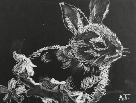 Value study of animal using white chalk on black paper by Anna Drawing On Black Paper Ideas, White Chalk On Black Paper, Chalk On Black Paper, Value Study, Black Paper Drawing, Chalk Drawings, White Chalk, Chalkboard Art, Black Paper