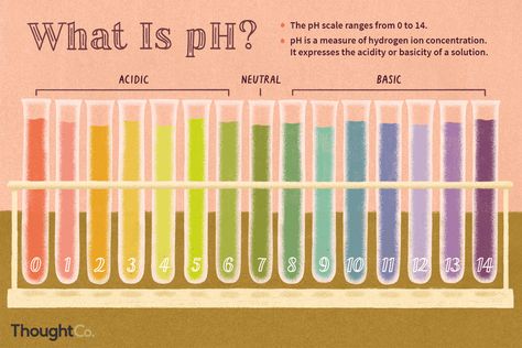 The pH Level in Chemistry Distinguishes Acids From Alkalines Chemistry A Level, Ph Chart, Soil Classification, Ph Scale, Ionic Compound, Chemistry Art, Gcse Revision, Chemistry Lessons, Chemistry Notes