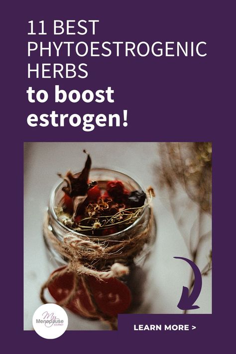 Best phytoestrogenic herbs | Phytoestrogenic herbs are one of the best supplements for menopause. These herbs contain phytoestrogens or plant-based estrogens that help support decreasing estrogen. Learn the best phytoestrogenic herbs for menopause! What herb has the highest estrogen // Phytoestrogens meaning // Phytoestrogens for menopause #PhytoestrogenicHerbsForMenopause #Phytoestrogens #PhytoestrogenBenefits Hormone Balancing Herbs For Women, Estrogen Boosting Herbs, Perimenaupose Herbs, Herbal Business, Herbs Healing, Estrogen Hormone, Balance Your Hormones, Low Estrogen, Overnight Beauty