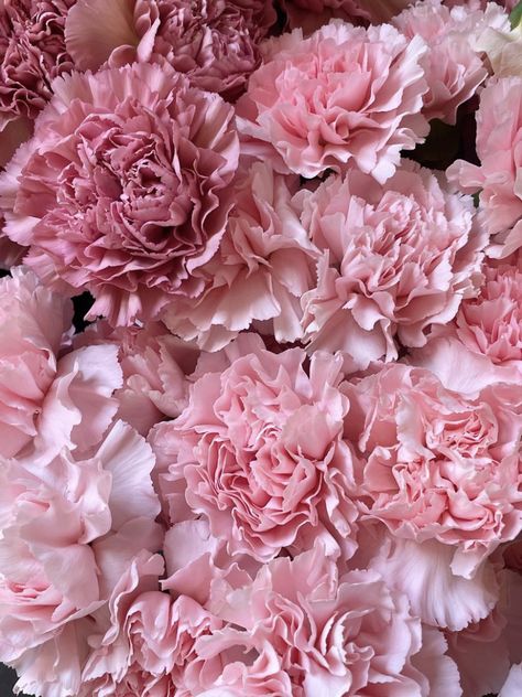 Soft Pink Roses Aesthetic, Dusty Rose Aesthetic Wallpaper, Dusty Pink Aesthetic Wallpaper, Dull Pink Aesthetic, Muted Pink Aesthetic, Dusty Rose Aesthetic, Pink Esthetics, Dusty Pink Aesthetic, Pink Boho Aesthetic