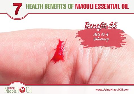 Using Niaouli Oil | 7 Health Benefits Of Niaouli Essential Oil Niaouli Essential Oil Uses, Niaouli Essential Oil, Fever Reducer, Oil Benefits, Urinary Tract, Oil Uses, Essential Oil Uses, Overall Health, Irritated Skin