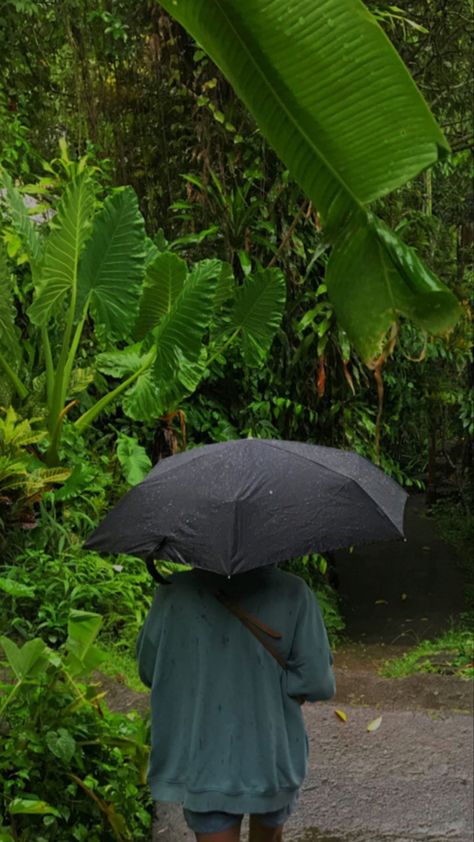 #nature #bali #aesthetic #rain Tropical Rain Aesthetic, Rain Umbrella Aesthetic, Bali Aesthetic, Aesthetic Rain, Rain Aesthetic, Rain Umbrella, Rainy Day, Bali, Umbrella