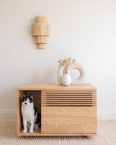 Cat Litter Box Cabinet, Litter Box Cabinet, Hiding Cat Litter Box, Diy Litter Box, Hidden Litter Boxes, Katt Grejer, Chat Diy, Cat Wood, Box Cabinet