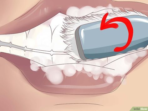 Swollen Gums Remedy, Grow Back Receding Gums, Tooth Infection, Vegan Probiotics, Swollen Gum, Tooth Powder, Teeth Health, Periodontal Disease, Receding Gums