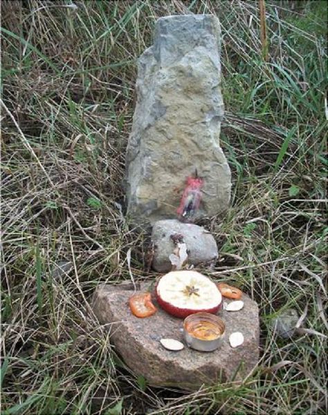 Samhain altar to honor ancestors Offerings To Ancestors, Ancestor Altar Ideas, Ancestors Altar, Honoring Ancestors, Honor Ancestors, Outdoor Altar, Samhain Traditions, Ancestor Altar, Village Witch