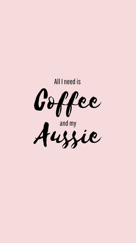 Aussie Wallpaper, Aussie Dog, Mini Aussie, Aussie Dogs, Australian Shepherd, Dog Mom, Phone Wallpaper, Wallpapers, Coffee