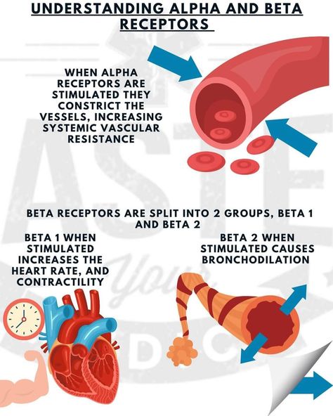 Alpha And Beta Receptors, Beta Receptors, Cardiac Nursing, Medical School Essentials, Student Life Hacks, Adrenal Fatigue, Nursing Study, Nursing Notes, Medical Knowledge