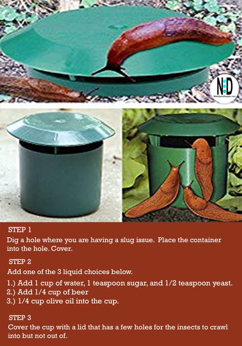 If you are having an issue with earwigs, slugs or snails, a trap works well.  You can purchase slug traps or make your own. Slug Trap, Getting Rid Of Slugs, Leaf Mulch, Slugs In Garden, Earwigs, Garden Weeds, Plant Covers, Slug, Fruits Vegetables