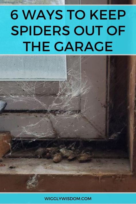 Spiders often find their ways into places in your home that aren't heavily lived in. If you have a spider problem in your garage, try the tips in this article to keep them out. #garagetips How To Keep Bugs Out Of Garage, How To Keep Spiders Out Of Garage, How To Keep Spiders Out Of Your House, Killing Spiders, Spider Infestation, Garage Shoe Storage, Spider Spray, Spiders Repellent, Garage Windows