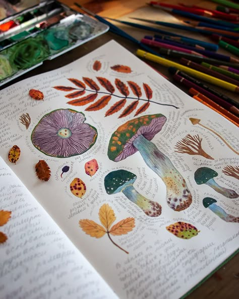 Nature Journaling, Sketchbook Art Journal, Arte Inspo, Mushroom Art, Sketchbook Journaling, Sketchbook Inspiration, Nature Journal, Sketchbook Ideas, Art Journal Inspiration