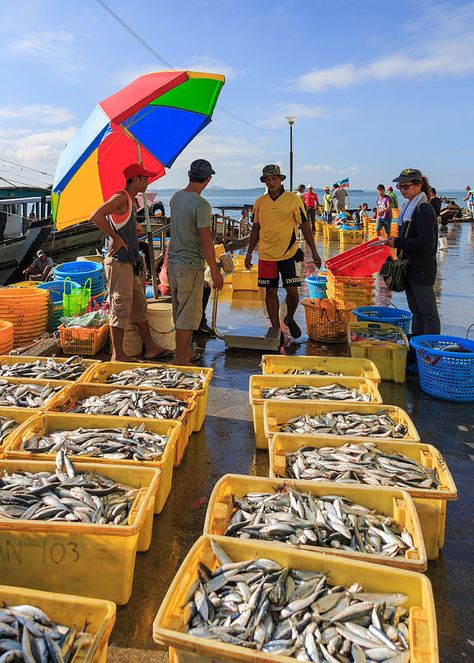 Fish Market Aesthetic, Sandakan, Shanty Town, Scene Drawing, Wallpaper Dinding, Display Props, Buy Fish, Live Fish, Pet Tiger