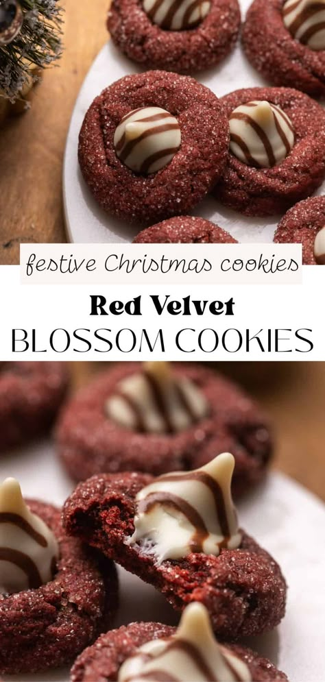 These red velvet blossom cookies are a fun twist on traditional peanut butter blossoms! With a beautiful red color and Hershey’s kisses pressed into the top of each cookie, they’re a perfect treat for Valentine’s Day or the holiday season. These cookies are soft, chewy, and bursting with that classic red velvet flavor we all know and love. Red Peanut Butter Blossoms, Red Velvet Peanut Butter Blossoms, Red Velvet Christmas Cookies, Kiss Blossom Cookies, Stuffed Red Velvet Cookies, Red Velvet Flavor, Butter Blossoms, Red Desserts, Blossom Cookies