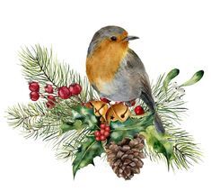 Holiday Birds, Christmas Robin, Bird Clipart, Watercolor Card, Watercolor Christmas Cards, Winter Bird, Christmas Bird, Watercolor Christmas, Christmas Paintings