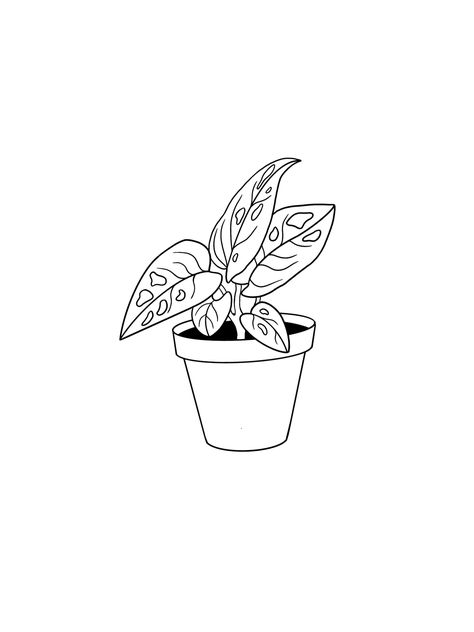 Plant Flash Tattoo, Small Easy Drawings, Traditional Tattoo Outline, Z Tattoo, Nerd Tattoo, Colored Pencil Artwork, Plant Tattoo, Tattoo Portfolio, Baby Tattoos