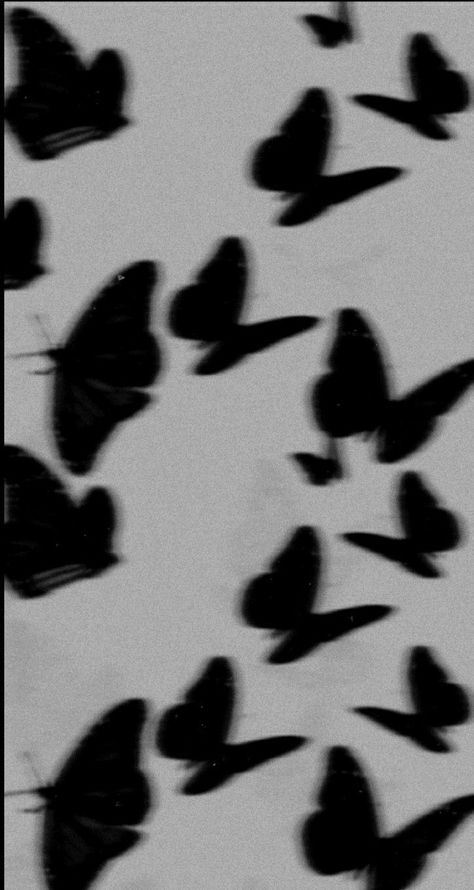 Grunge Iphone Wallpaper, Grunge Aesthetic Wallpapers For Iphone, Black Butterfly Wallpaper, Wallpaper Tumblr Aesthetic, Ombre Wallpaper Iphone, Wallpaper Iphone Aesthetic, Chic Wallpaper, Tapeta Galaxie, Simple Phone Wallpapers