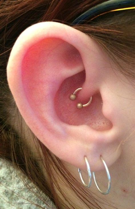 My daith piercing with a rose gold horseshoe Gold House, Daith Piercing, Horse Shoe, A Rose, Rose Gold, Gold, Quick Saves