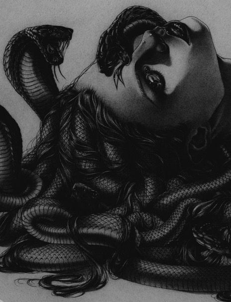 Snakes, Black And White, Twitter, White, Black, Art