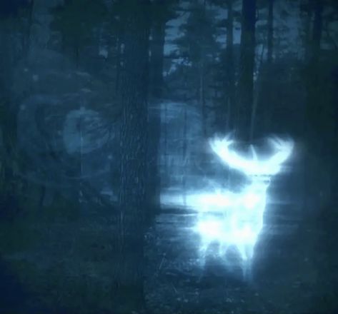 Forest Pfp, Aesthetic Dark Forest, Fairy Grunge Aesthetic, Dark Forest Aesthetic, Blue Aesthetic Dark, Dark Fairycore, Aesthetic Fairy, Forest Aesthetic, Twilight Blue