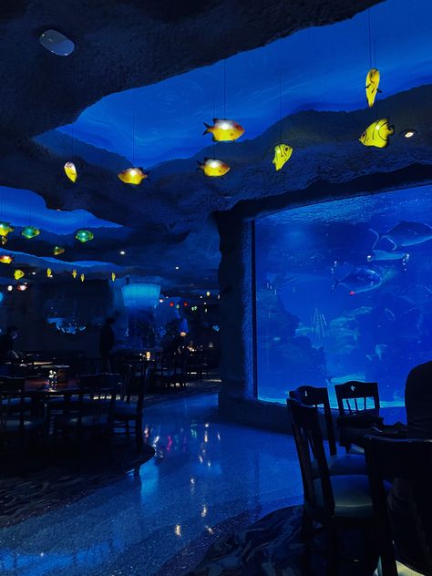 Blue Bar Aesthetic, Aquarium Sleepover, Aquarium Layout, Pressure Oc, Spotify Ideas, Underwater Room, Sprinkle Sprinkle, Underwater Hotel, Restaurant Booth