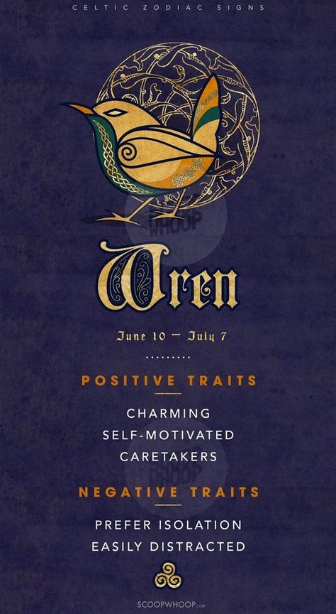 Celtic Zodiac Signs - Wren (Jun 10 to Jul 7) Celtic Zodiac Signs, Friendship Symbol Tattoos, Animal Totem Spirit Guides, Celtic Signs, Native American Zodiac, New Beginning Tattoo, Celtic Zodiac, Indian Tattoos, Celtic Animals