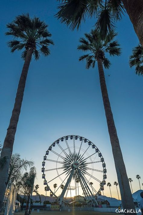 Coachella Ferris Wheel, Coachella Aesthetic, Coachella Vibes, Friend Vacation, Southern Girls, Concert Aesthetic, Cali Girl, Coachella Outfit, Festival Hair