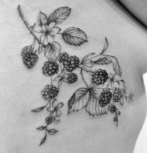 Black And White Raspberry Tattoo, Blackberry Vine Tattoo Arm, Fine Line Blackberry Tattoo, Blackberry Tattoo Sleeve, Rasberry Tattoos Simple, Blackberry Tattoo Design, Wild Blackberry Tattoo, Rowan Berry Tattoo, Mulberry Tree Tattoo