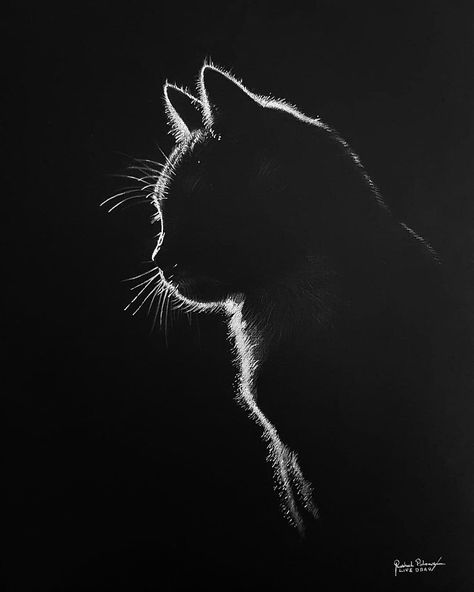 Scratch Art, A Black, Black And White, White, Black, Art