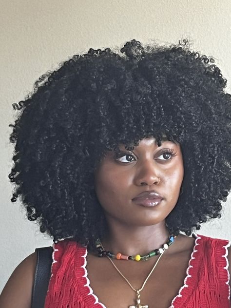 Natural Hair Fro, Layered Natural Hair, Goals 2025, 4b Natural Hair, Curly Natural Hair, Curly Cut, Hair Black Women, Natural Hair Diy, Afro Curls