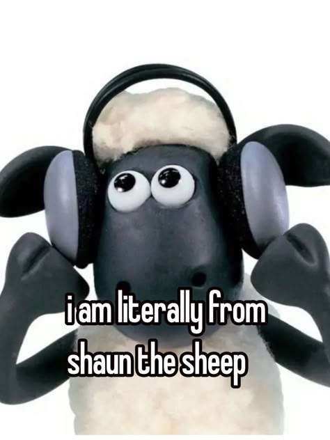 #whisper #fashion #shaunthesheep Sheep Meme, Comfort Photos, Shawn The Sheep, Wallace And Gromit, Shaun The Sheep, Photo Camera, Ends Of The Earth, Losing My Mind, Real Funny