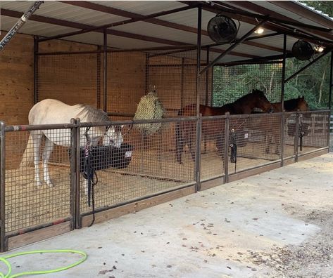 Simple Horse Barns, Dream Barn Stables, Small Horse Barns, Horse Pens, Horse Farm Ideas, Horse Barn Ideas Stables, Barn Stalls, Horse Barn Designs, Horse Shelter