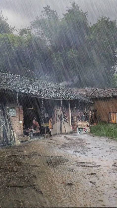 naturelife_ok on Instagram: Heavy rain 😮 Country Rain, Environment References, Hungry Eyes, Rain Pictures, Seasons Photography, Rain Photo, Photo Background Images Hd, Rain Storm, 8k Wallpaper