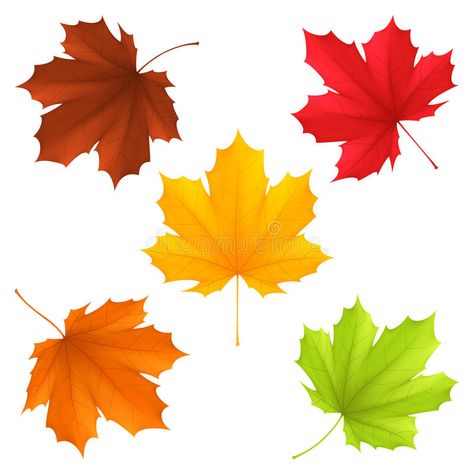 Autumn leaves. Collection of color autumn leaves , #Sponsored, #leaves, #Autumn, #Collection, #autumn, #color #ad Autumn Leaves Illustration, Leaf Printables, Thanksgiving Clip Art, Thanksgiving Crafts Preschool, Autumn Leaf Color, Color Leaves, Leaf Stencil, Leaves Illustration, Word Art Design