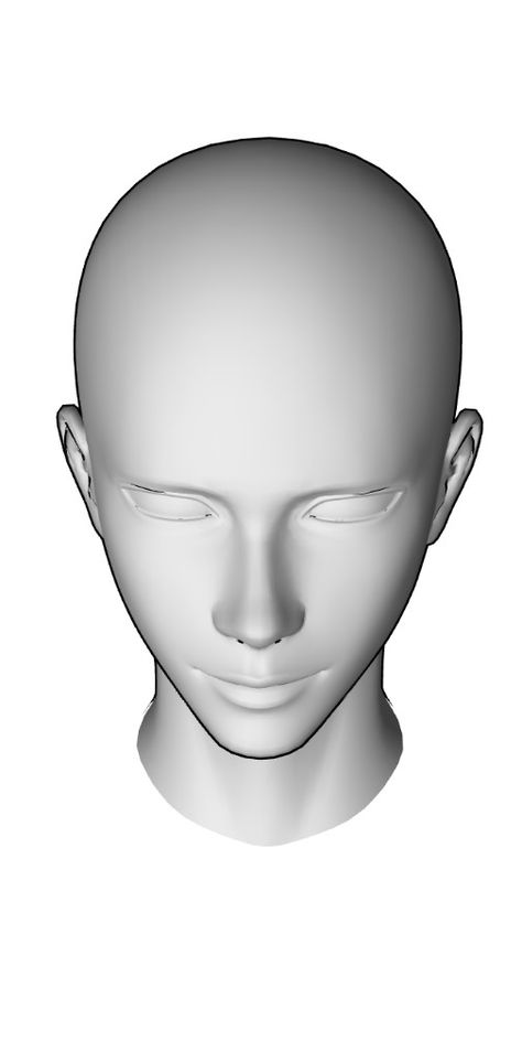 Nose Down Angle, 3d Head Reference, How To Draw Male Head, Anime Head Base, Male Head Drawing Reference, Head Base, Reference Photos For Artists, Drawing Examples, Paint Brush Art