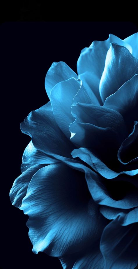 Blue Roses Wallpaper, Wallpapers For Phone, Blue Background Wallpapers, Blue Flower Wallpaper, Dark Blue Flowers, Dark Blue Wallpaper, Iphone Wallpaper Stills, Vintage Flowers Wallpaper, Flowery Wallpaper