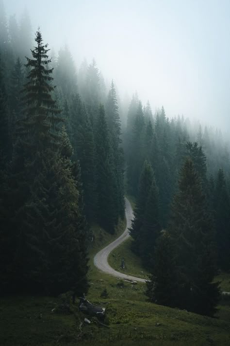 Forest Vibes, Dark Forest Aesthetic, Mountain Aesthetic, Foggy Weather, Rainy Day Aesthetic, Woods Forest, Dark Landscape, Foggy Mountains, Dark Green Aesthetic