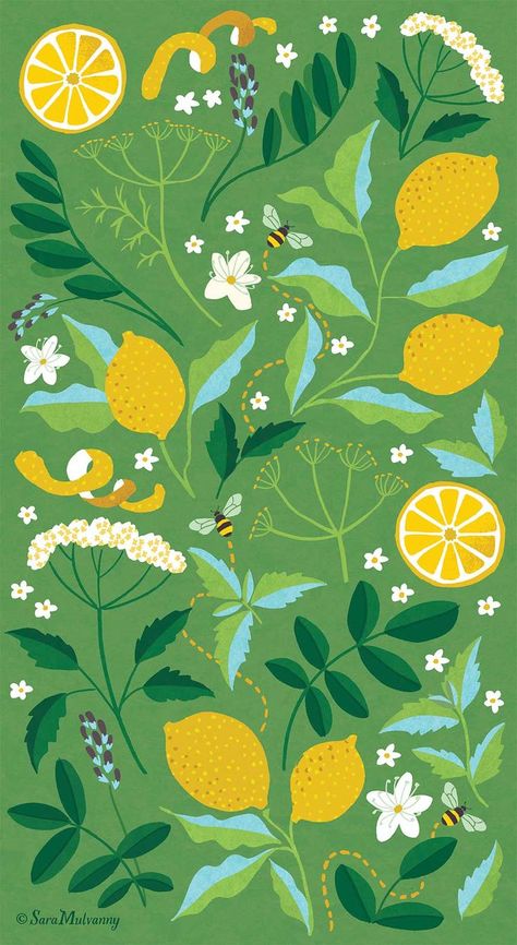 Floral patterns created for a tea packaging concept. Each design features the floral, herbal and fruit elements within each blend of tea. This is the 'Lemon & honey' tea which contains elderflower, lemon verbena leaf, liquorice root, sweet fennel seed and of course lemon and Manuka honey. ©SaraMulvannyIllustrationLtd Summer Botanical Illustration, Patterns On Packaging, Lemon Illustration Pattern, Lemon Grass Illustration, Herbal Tea Illustration, Lemon Pattern Design, Botanical Packaging Design, Lemon Packaging Design, Elderflower Illustration