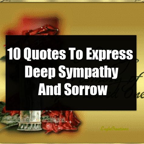 10 Quotes To Express Deep Sympathy And Sorrow Sympathy Quotes, Deepest Sympathy, 10th Quotes, Facebook Image, True Quotes, The Creator, Quotes, 10 Things