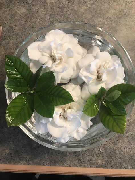 Gardenia Wedding, Dystopian Aesthetic, Floating Flowers, Silver Bowl, Floating In Water, Fish Bowl, A Bowl, White Flower, Glass Bowl