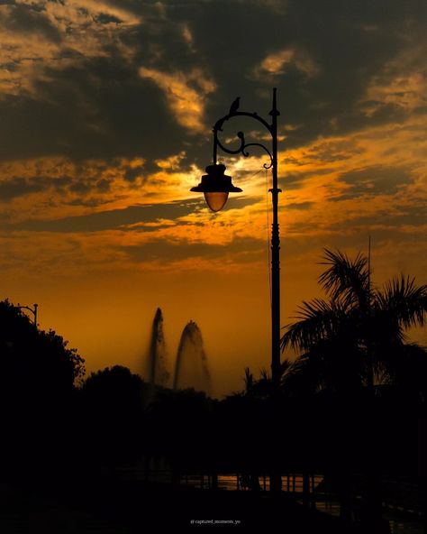 Even the birds know how to catch a little light✨🐦 sky's the limit.🌬️💌 [ Sky , sky is the only limit , birds , serenity Janeshwar mishra park , lucknow , city of nawabs ] . .. . . #sky #serenity #explore #janeshwarmishrapark #lucknow #cityofnawabs #skyisthelimit #instagram #incredibleindia #indiakaanari #peaceful #uttarpradeshtourism #uttarpradesh #godcreation #nature #photooftheday #instadaily #photographer #photography Lucknow City, Gods Creation, Uttar Pradesh, Incredible India, Photographer Photography, The Birds, Tourism, Birds, Photographer