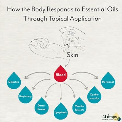 When essential oils are applied to the skin, their components are absorbed into the bloodstream by the pores and hair follicles. Once inside the bloodstream, they disperse to the specific organs and systems on which they work. Pulse points are the areas of the body where blood vessels are closest to the skin’s surface. Applying essential oils to these areas allows for quicker absorption and helps them get to work faster. ~ Kim, YL# 1146129 Essential Oil Remedy, Yl Oils, Oil Remedies, Essential Oils Health, Yl Essential Oils, Living Essentials Oils, Pulse Points, Healing Oils, Living Essentials