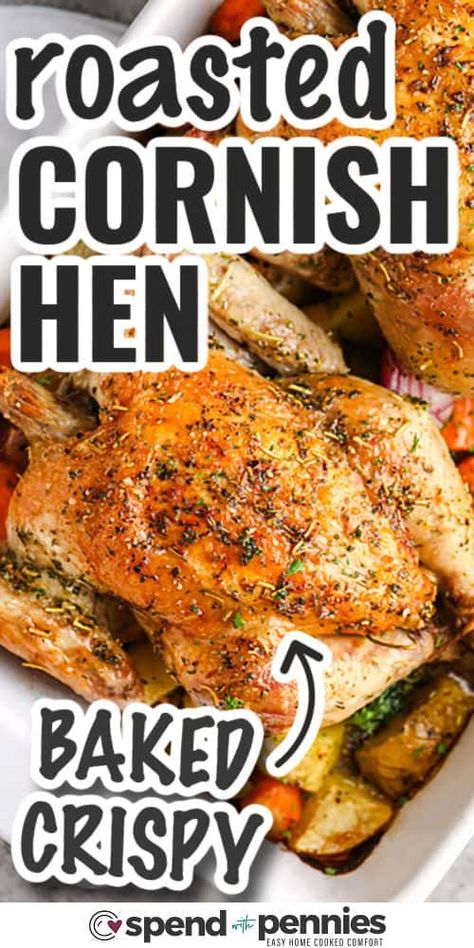 Roasted Cornish Hen Roast Cornish Hen Recipe, Roasted Cornish Game Hens, Recipe For Cornish Hens, How To Cook Cornish Hens, Cornish Hen Recipe Grilled, Baked Cornish Hen Recipe Ovens, How To Cook Cornish Hens In The Oven, Cornish Hen Recipe Baked, Glazed Cornish Hen Recipe