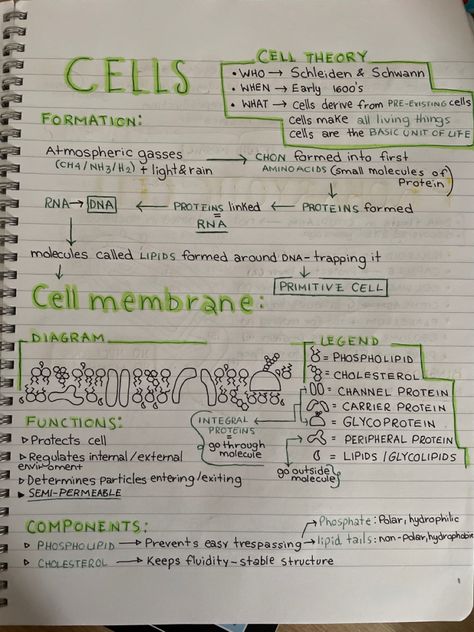 Cell The Unit Of Life Notes, Cell Theory Notes, Cell The Unit Of Life, The Fundamental Unit Of Life, Cell Biology Notes, Handmade Notes, Med School Study, Bio Notes, Cell Theory