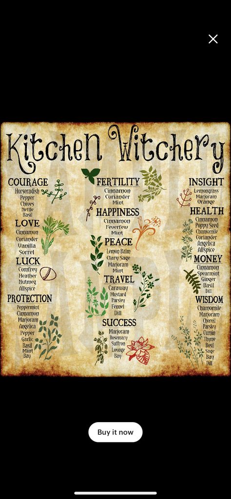 Witch Things, Magickal Herbs, Witch Herbs, Spell Books, Rosemary Garlic, Odd Jobs, Witchcraft Spell Books, Witch Spell Book, Witch Spell