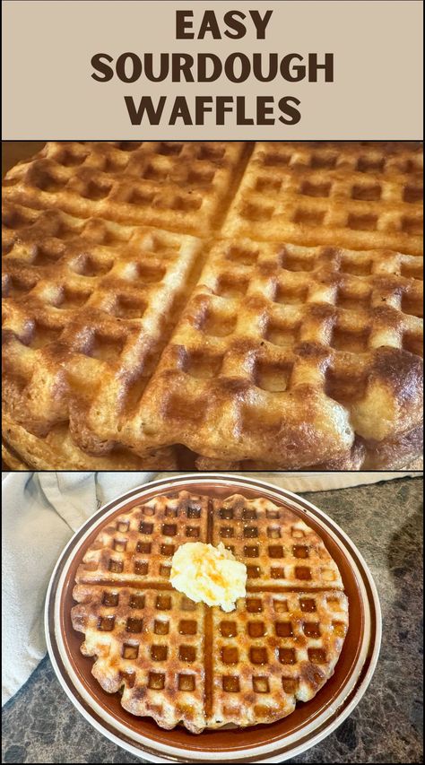 Best Sourdough Waffles - Easy Sourdough Discard Recipe - Wagon Wheel Homestead Sourdough Waffles Discard, Sourdough Breakfast Recipes, Sourdough Discard Waffles, Sourdough Waffle Recipe, Sourdough Discard Recipe, Sourdough Waffles, Sourdough Breads, Simple Sourdough, Discard Recipe