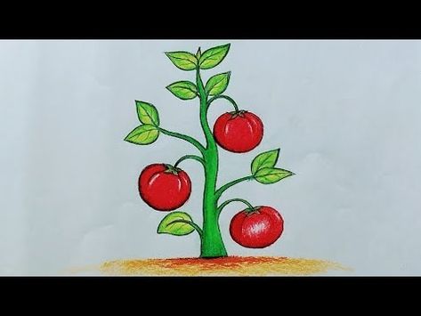 Easy Plant Drawing Ideas" include sketching simple leaves, succulents, potted herbs, and doodle-style flowers. How To Draw Plants Step By Step, Tomato Plant Drawing, Draw Tomato, Plant Drawing Easy, Plant Drawings Simple, Plant Drawing Ideas, Potted Herbs, Vegetable Drawing, Tomato Plant