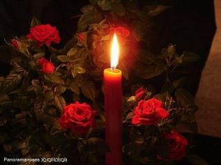 , Images Terrifiantes, Red Worms, Söt Katt, Candle Aesthetic, Shall We Date, Red Candles, Season Of The Witch, Dark Photography, Red Aesthetic