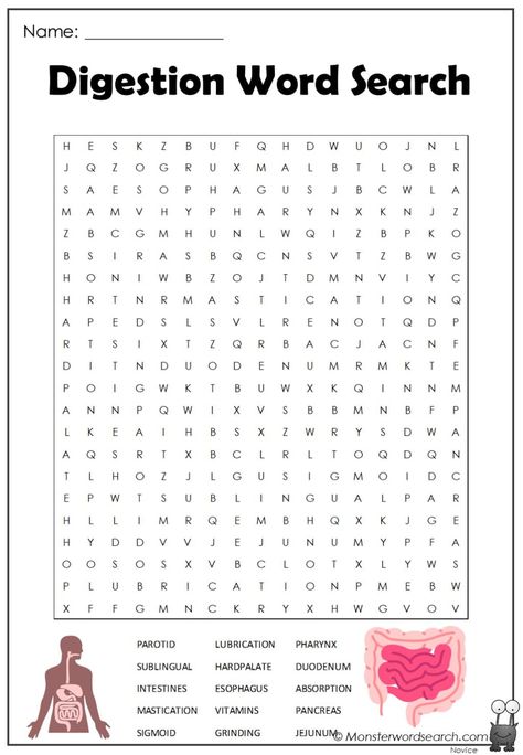 All Body Systems, Free Printable Word Searches, Unscramble Words, Human Digestive System, Student Tips, Health Words, Nursing Student Tips, Book English, Biology Teacher